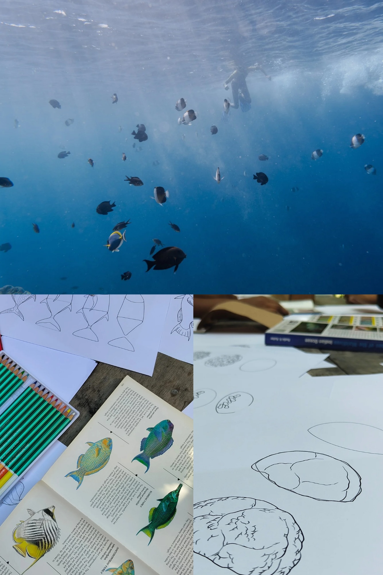 Underwater Journaling