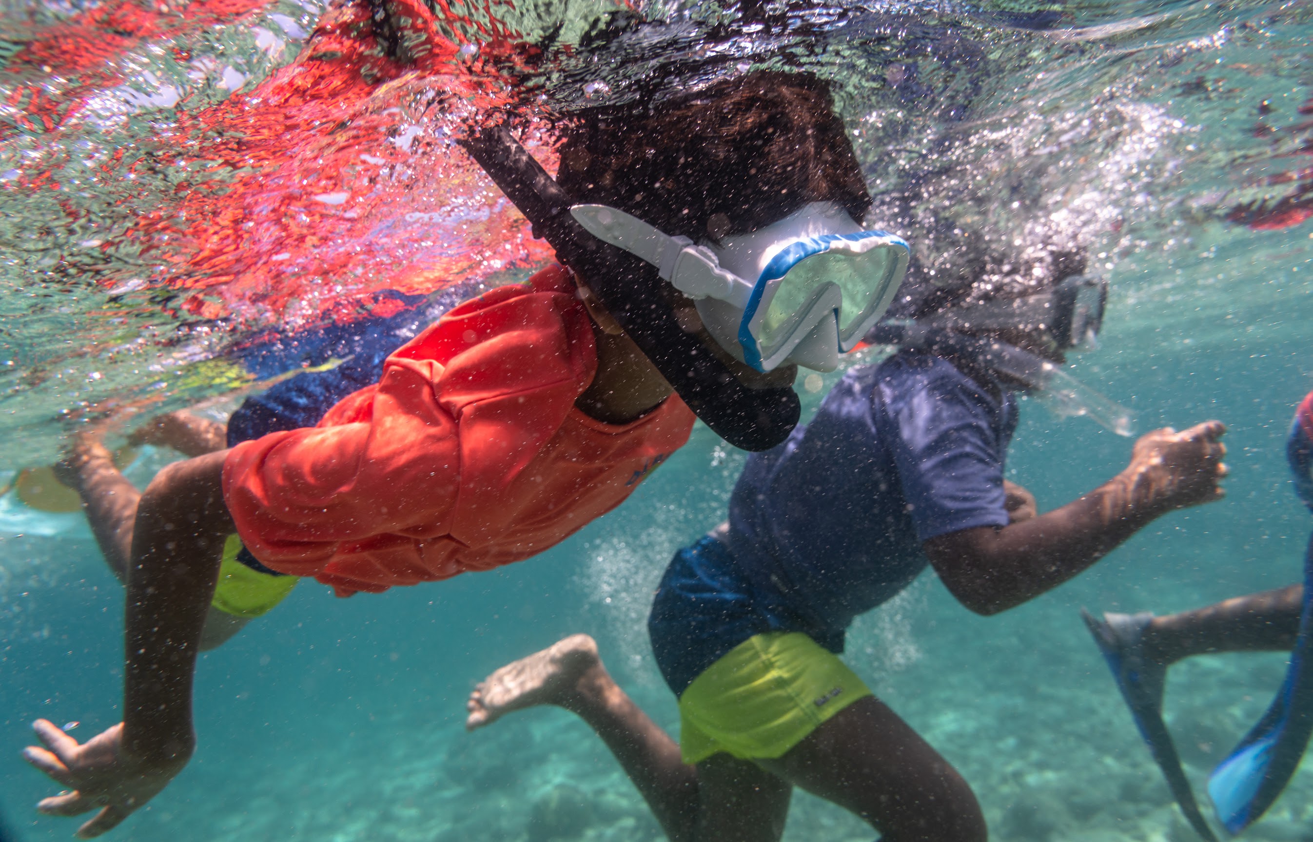 Mini Marine Biologist