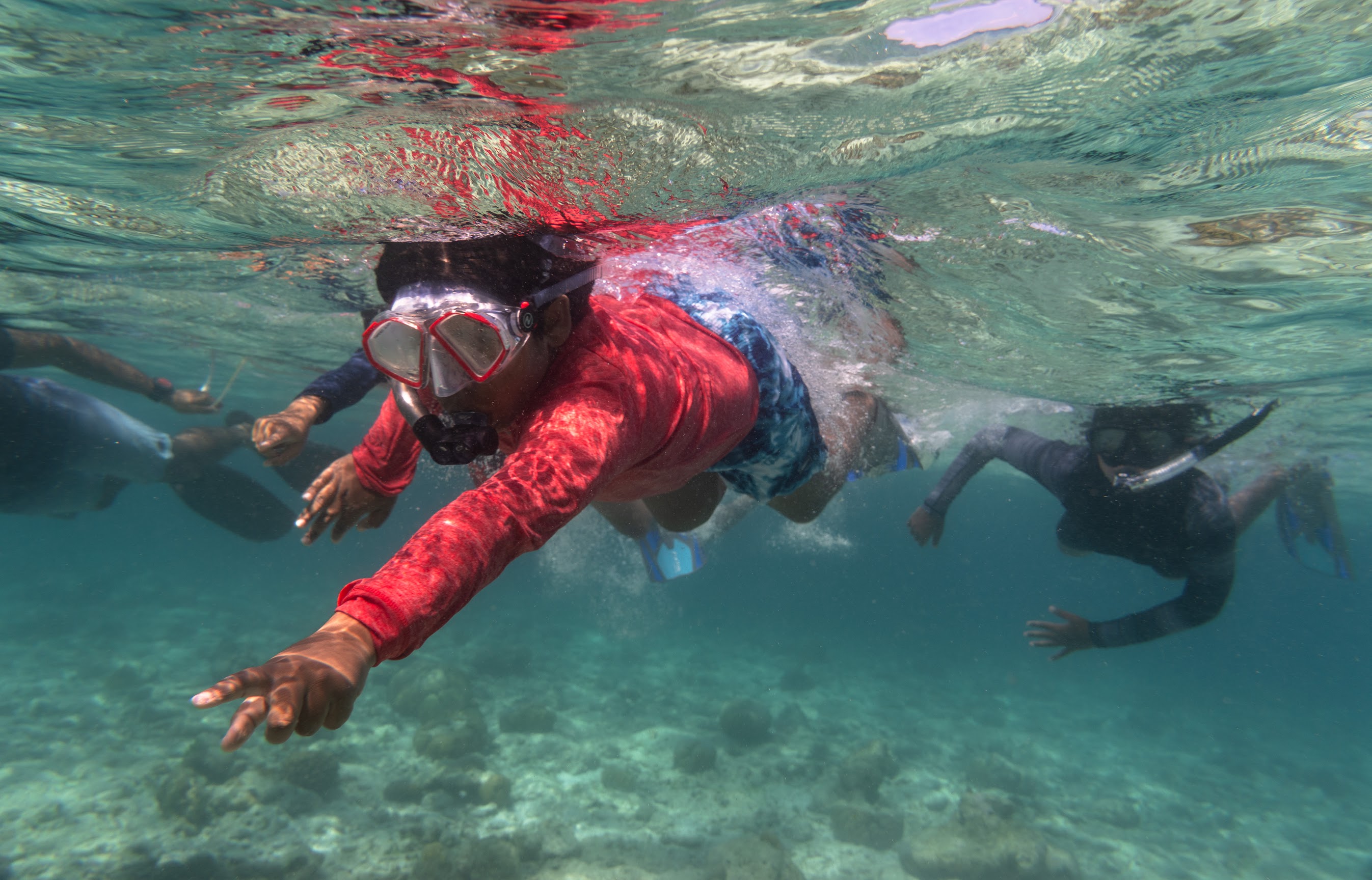 Junior Marine Biologist