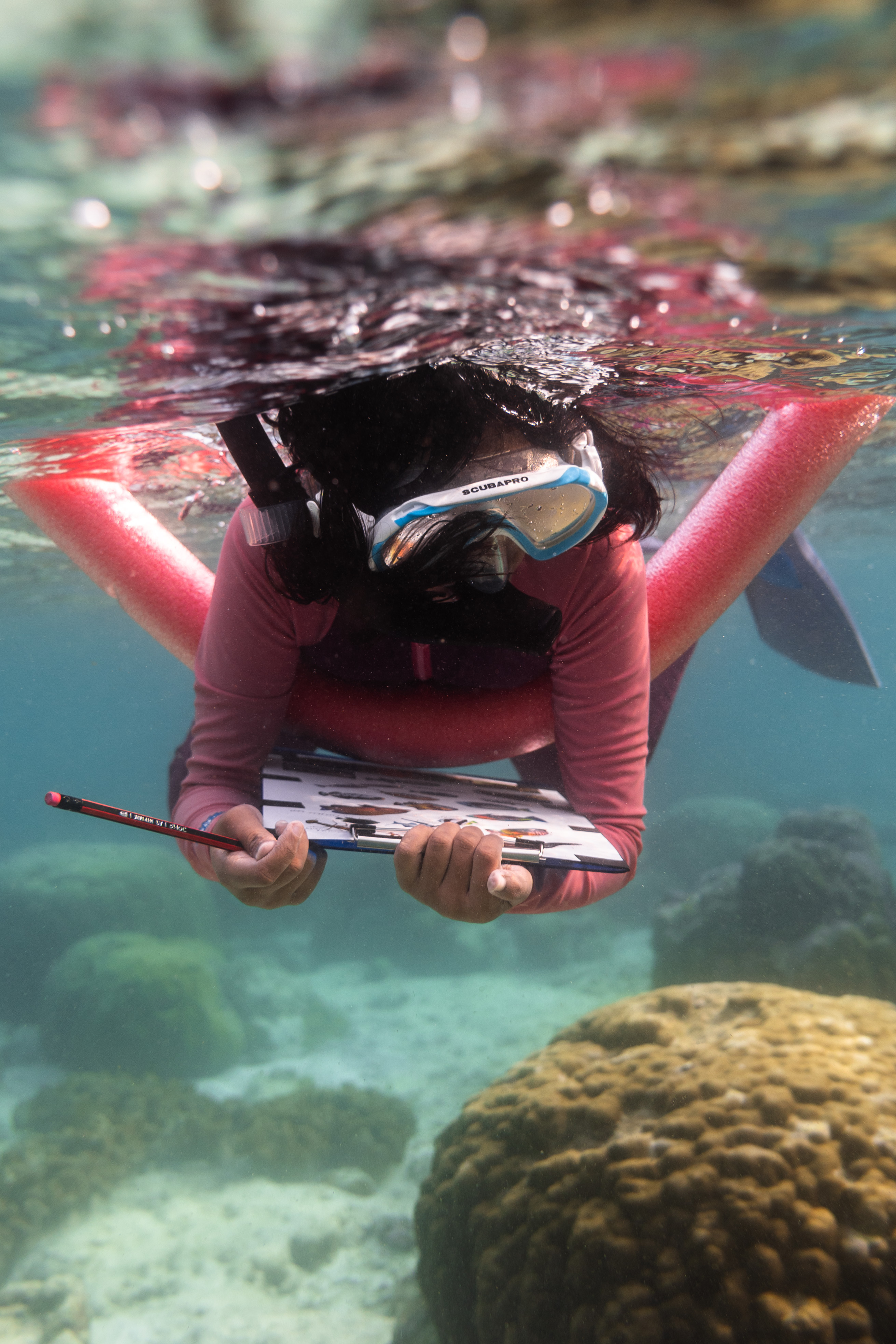 Marine Biology: Junior Citizen Scientist