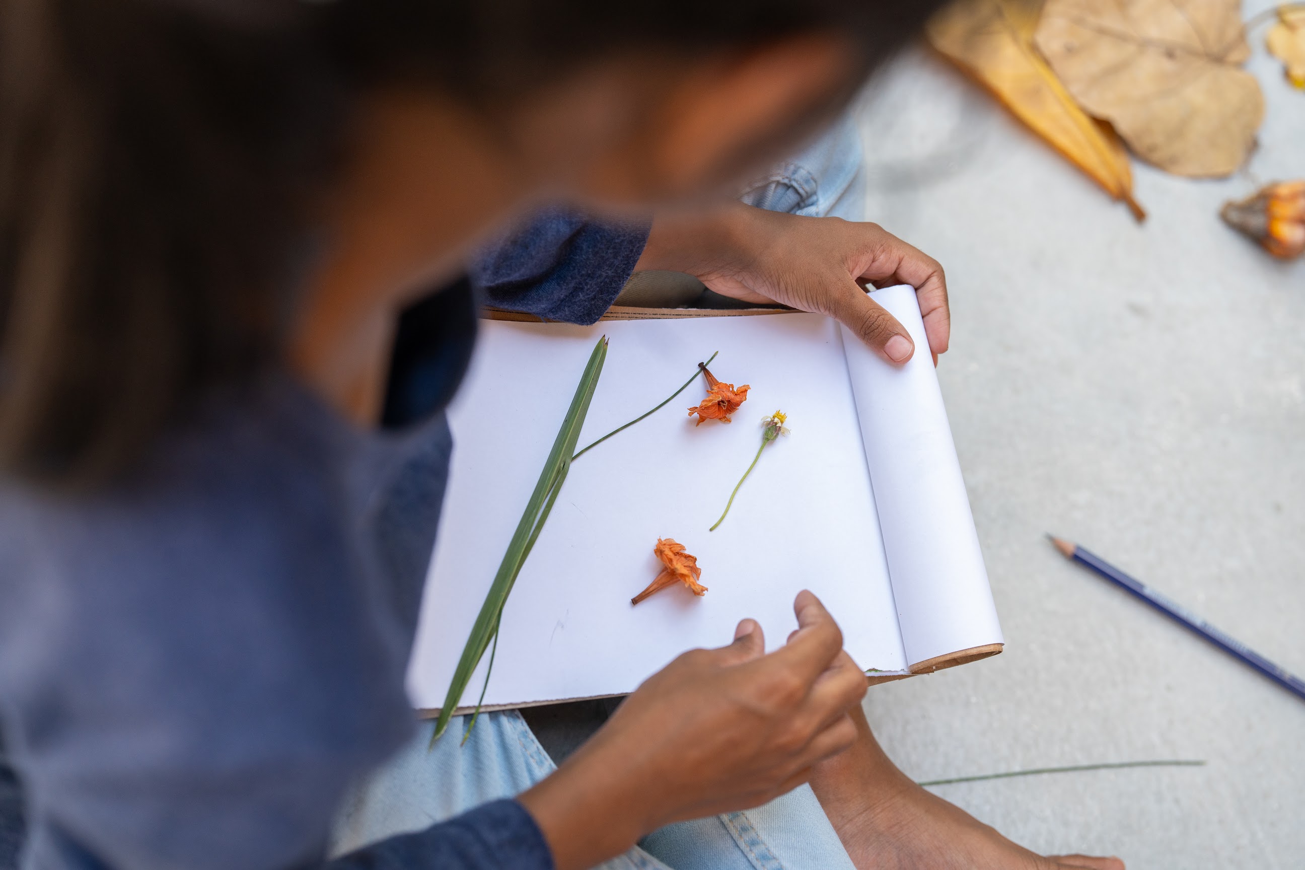 Explore Smells of Nature