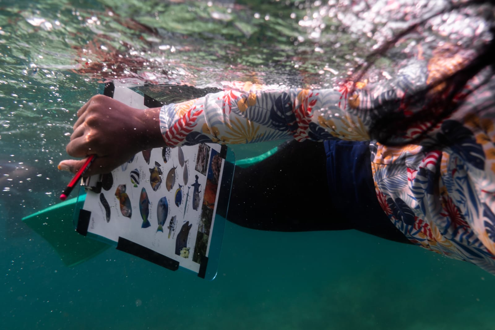 Marine Biology: Junior Citizen Scientist- Reef Check Program
