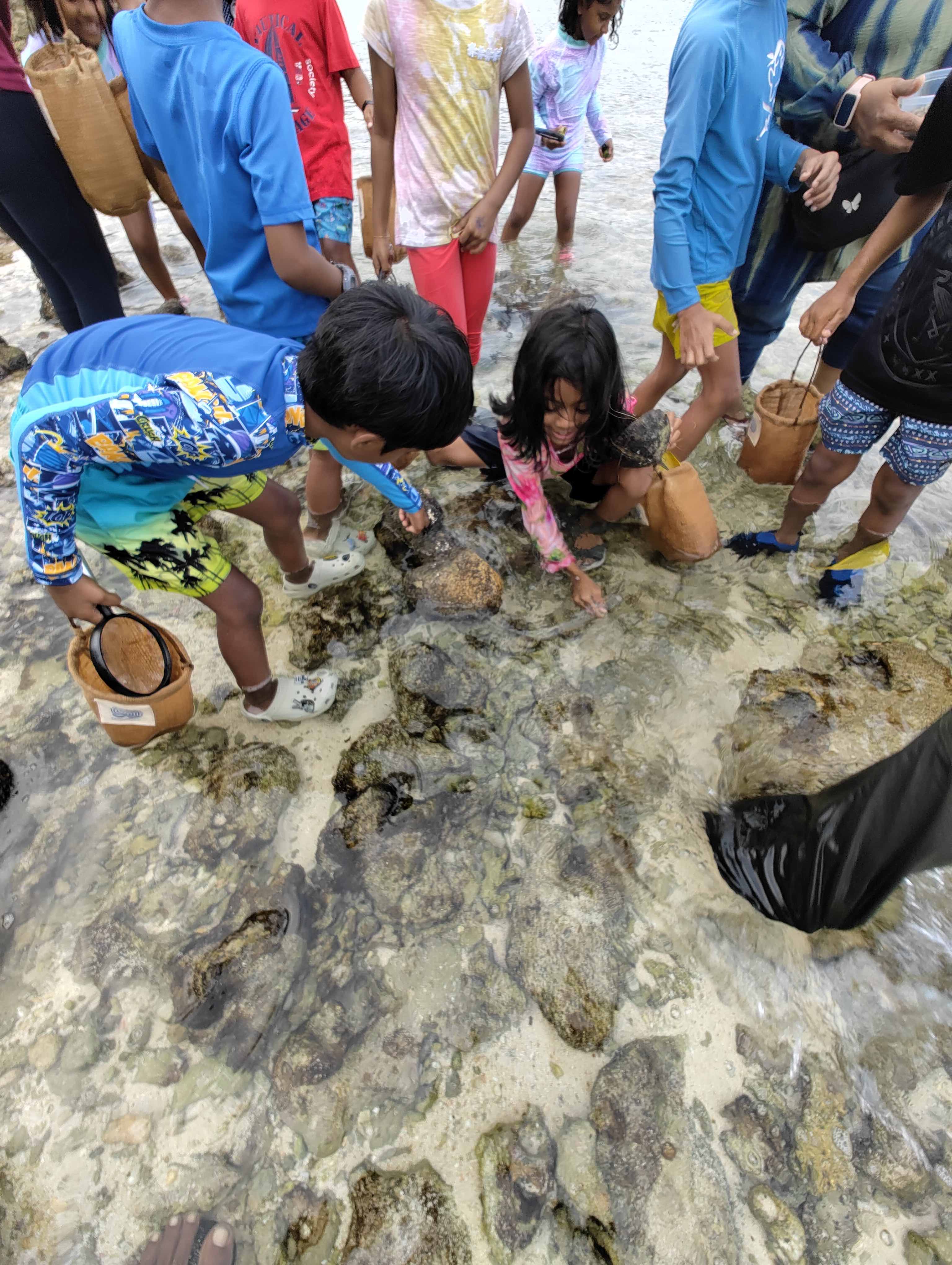 Marine Biology - Intertidal Explorers
