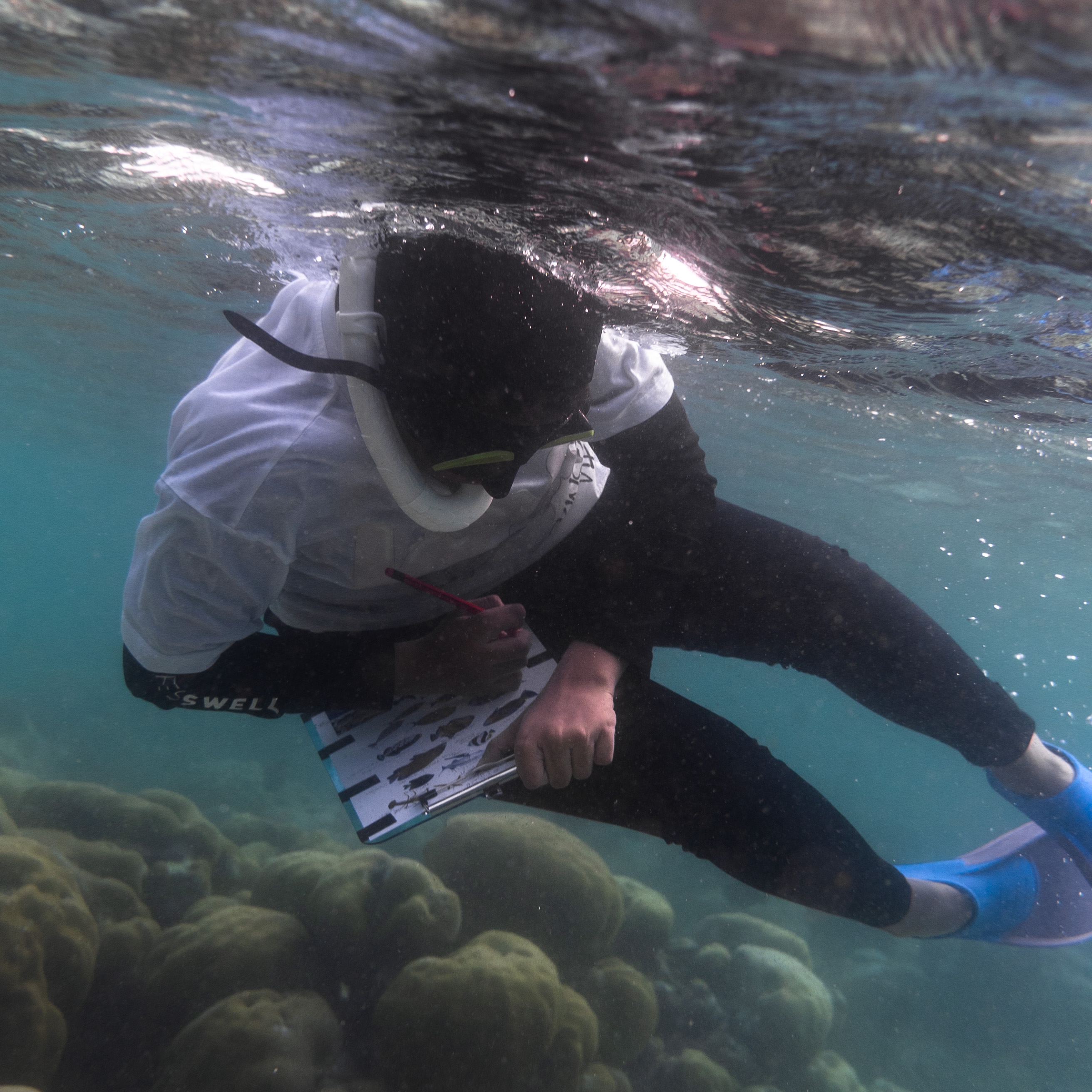 Marine Biology: Junior Citizen Scientist