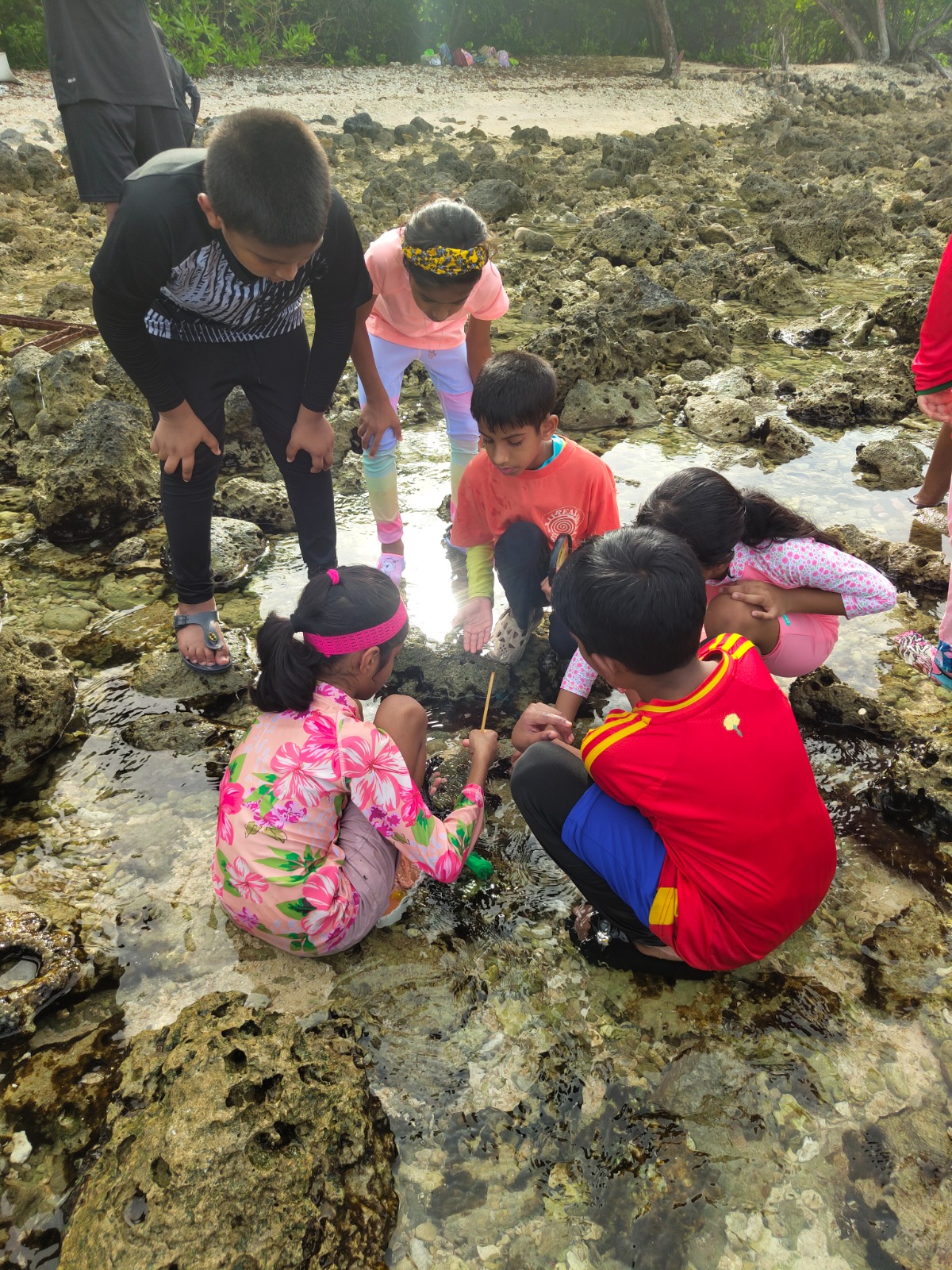 Marine Biology - Intertidal Explorers - June