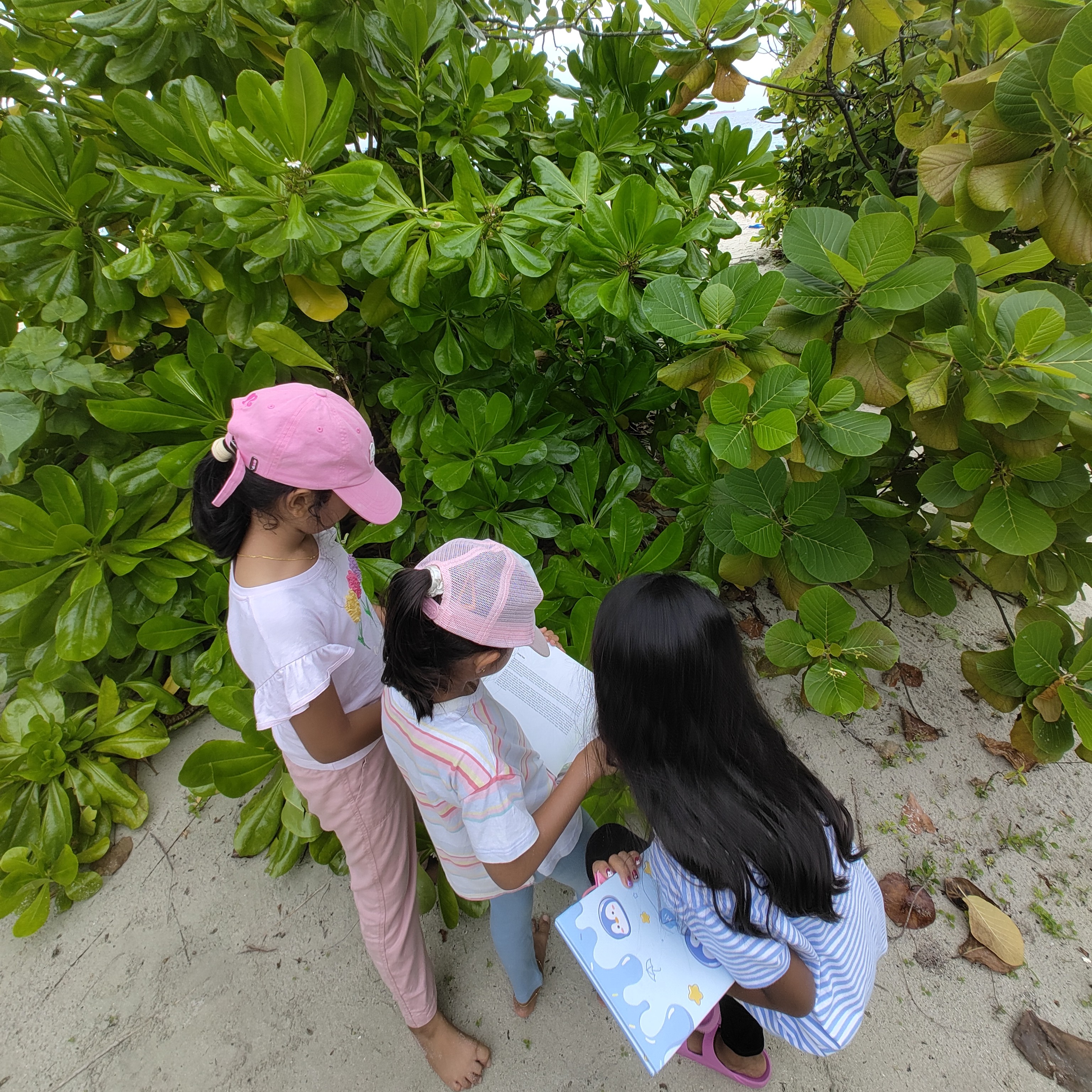 Beach Ecosystem 2 days