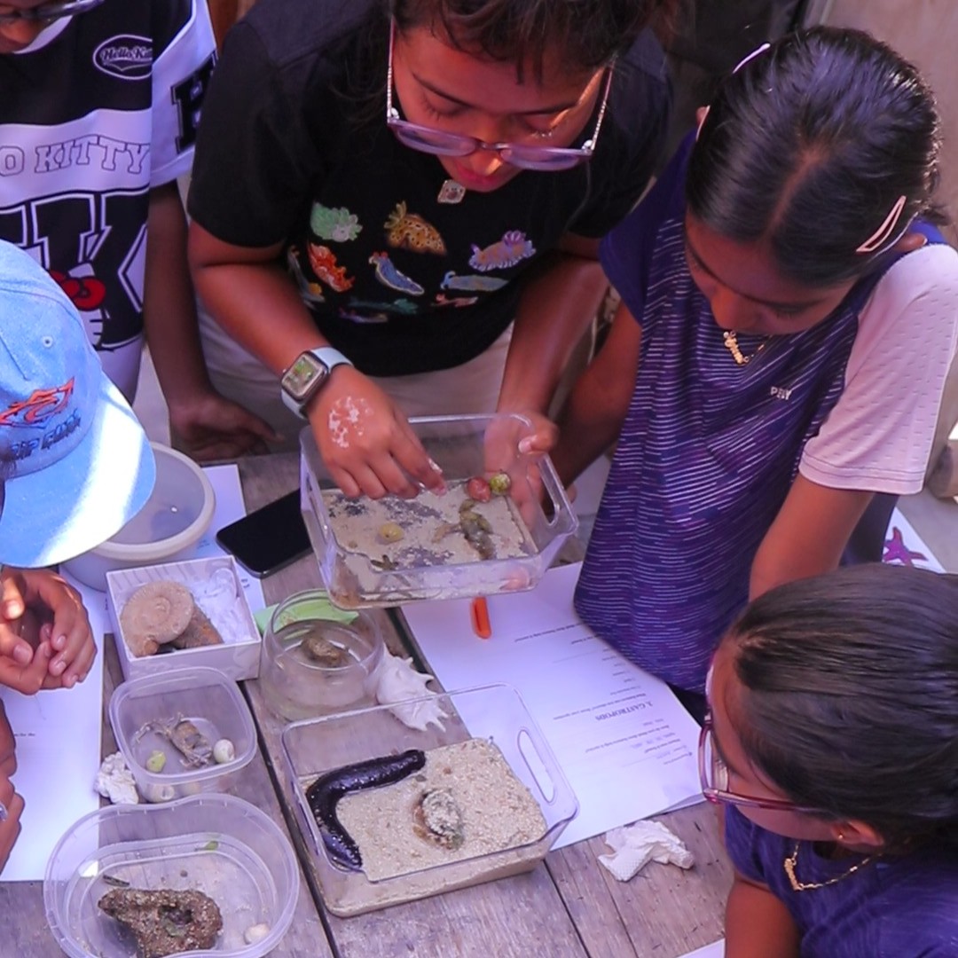Junior Marine Biologist With Discover Scuba Dive