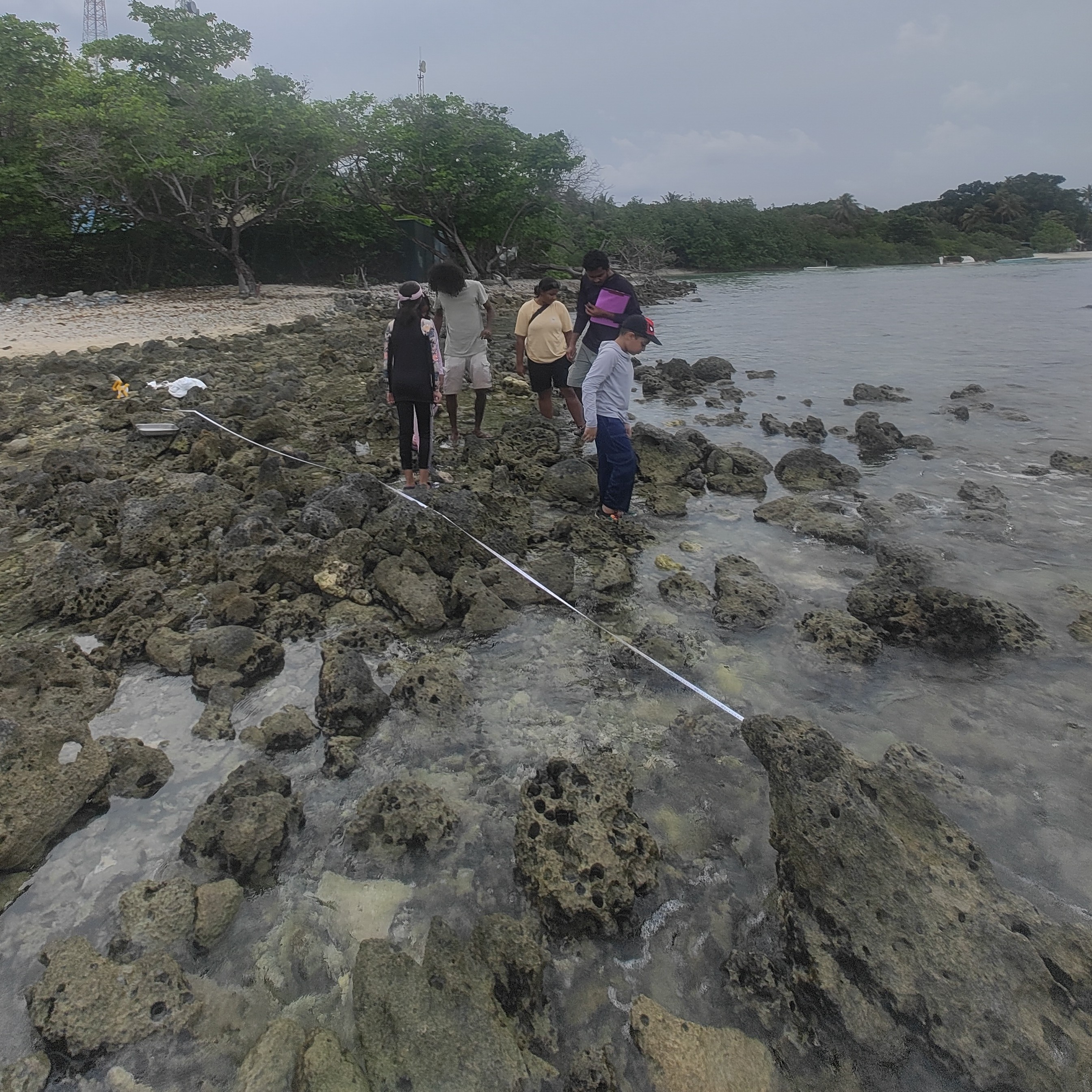 THE ISLAND MARINE BIOLOGY