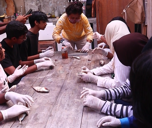 The Marine Biologist: Applied Fieldwork & Research Program