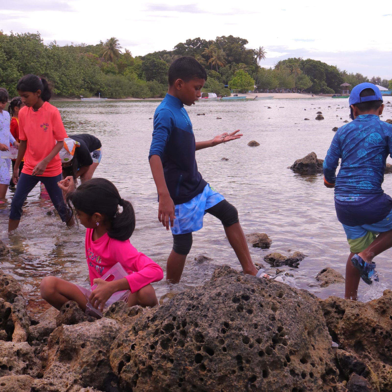 Marine Biology - Intertidal Explorers - July