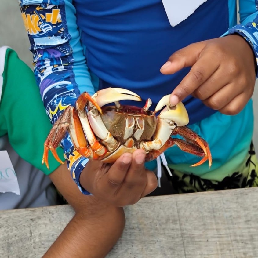 Marine Biology - Marine Invertebrates