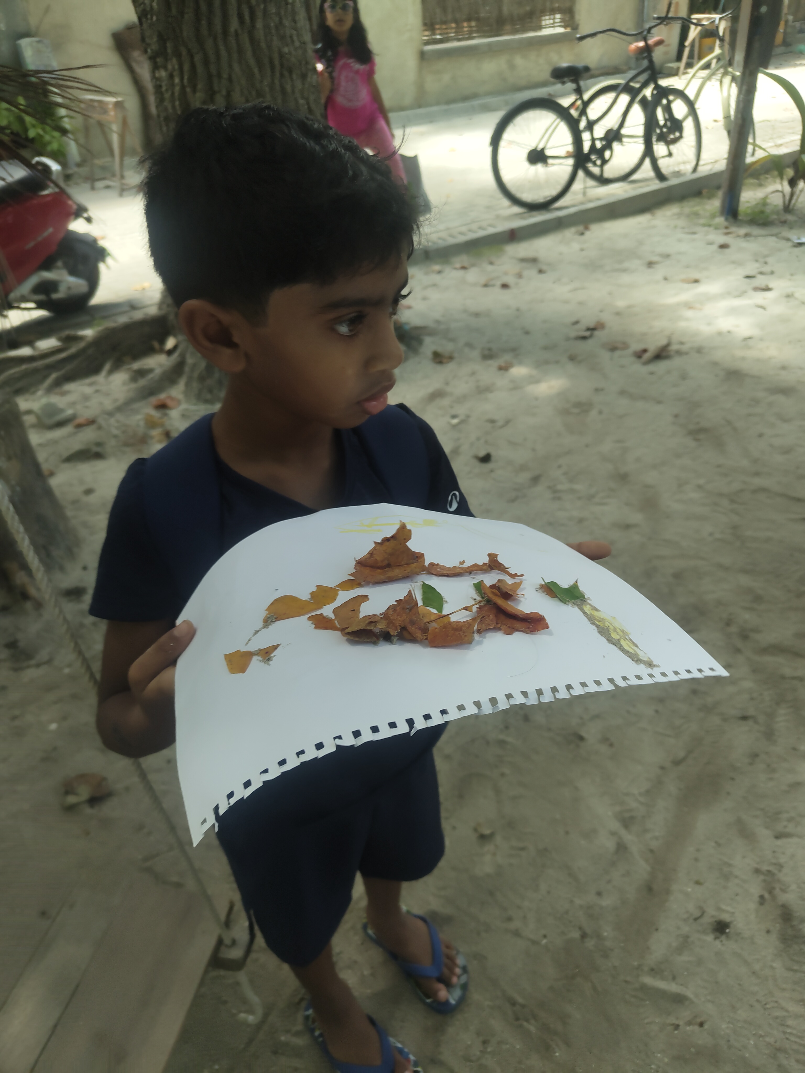 Weather MoodhuFilaa Nature School Maldives moments