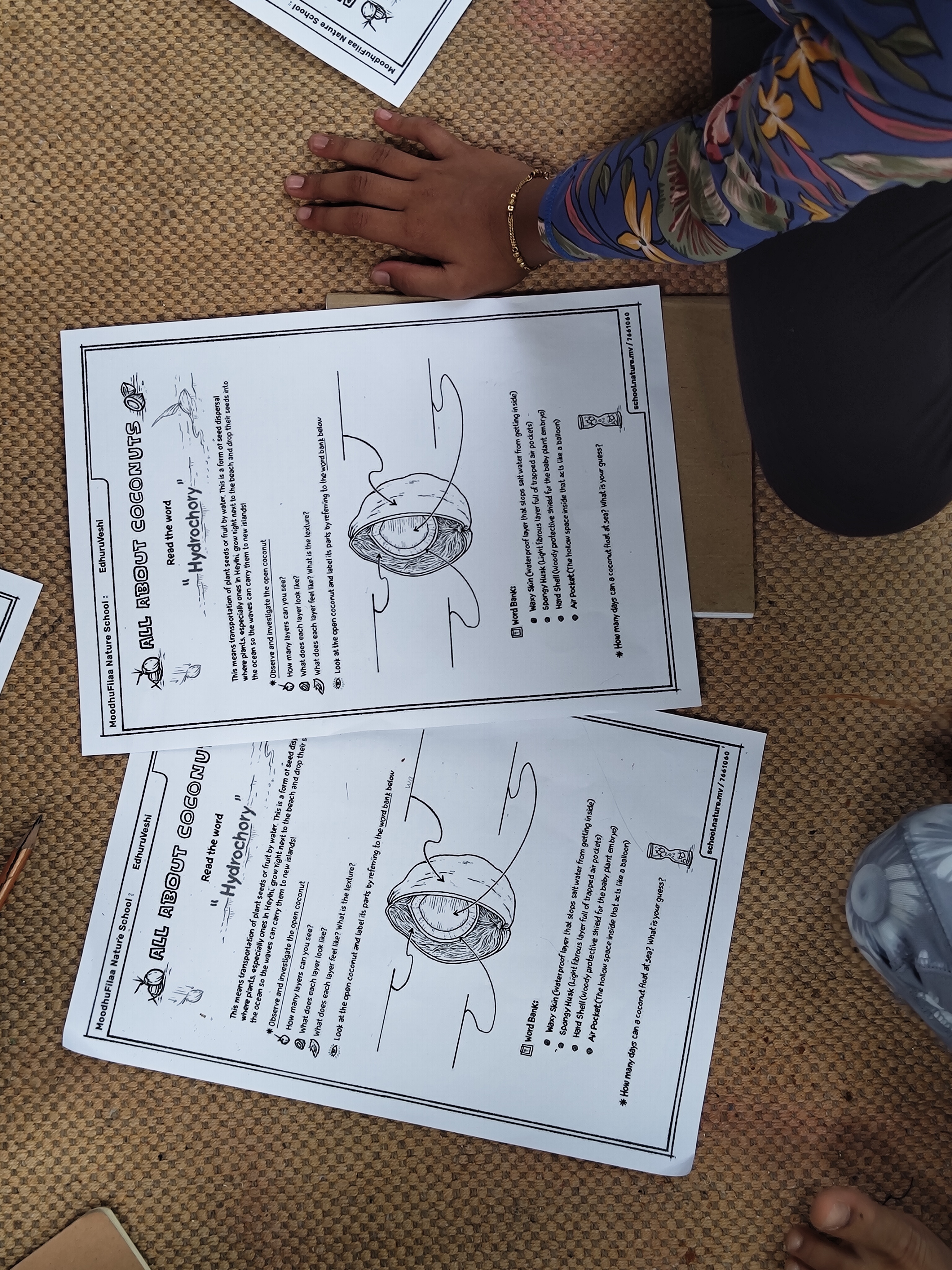 Weather MoodhuFilaa Nature School Maldives moments