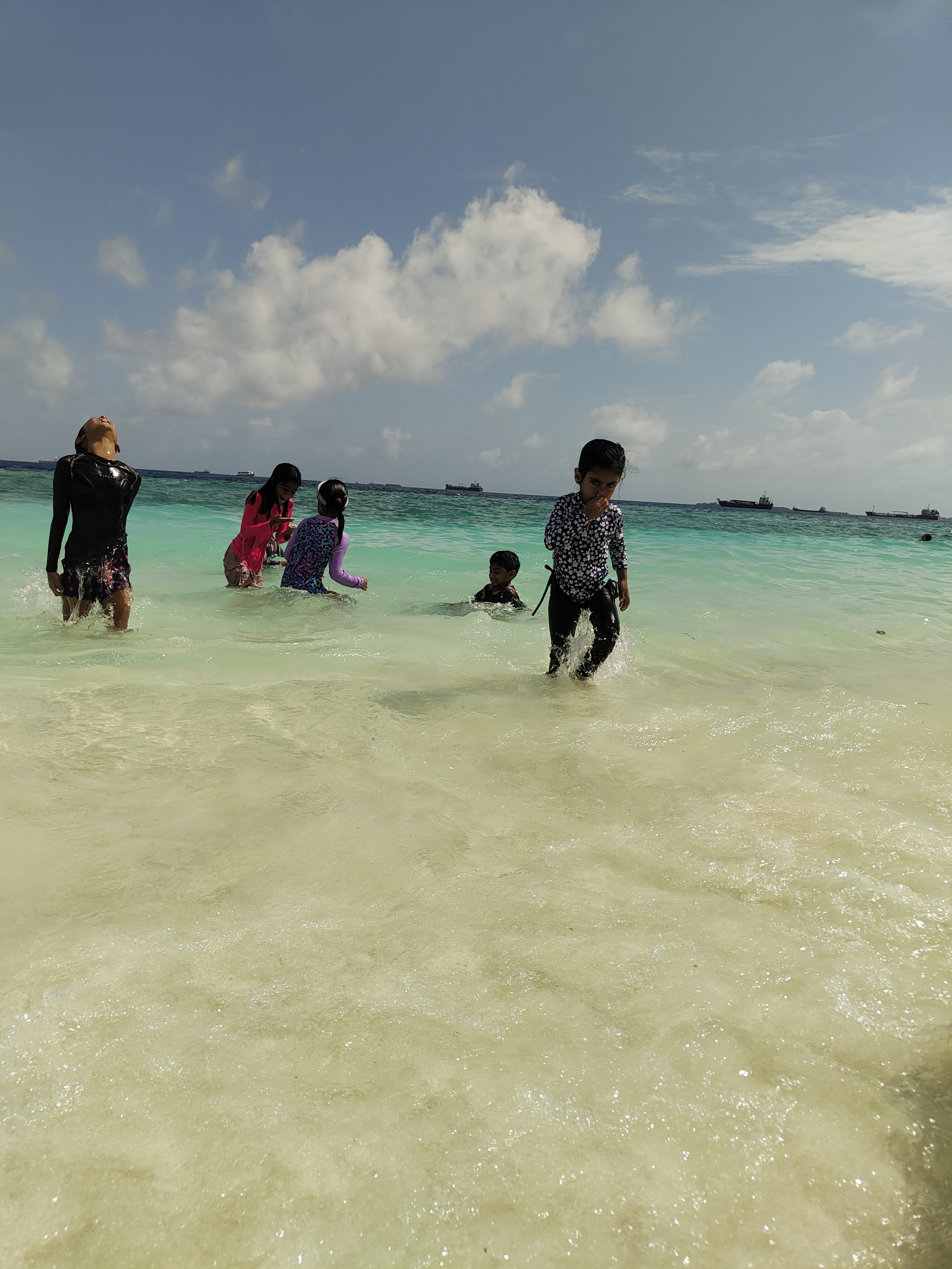 The Beach Ecosystem