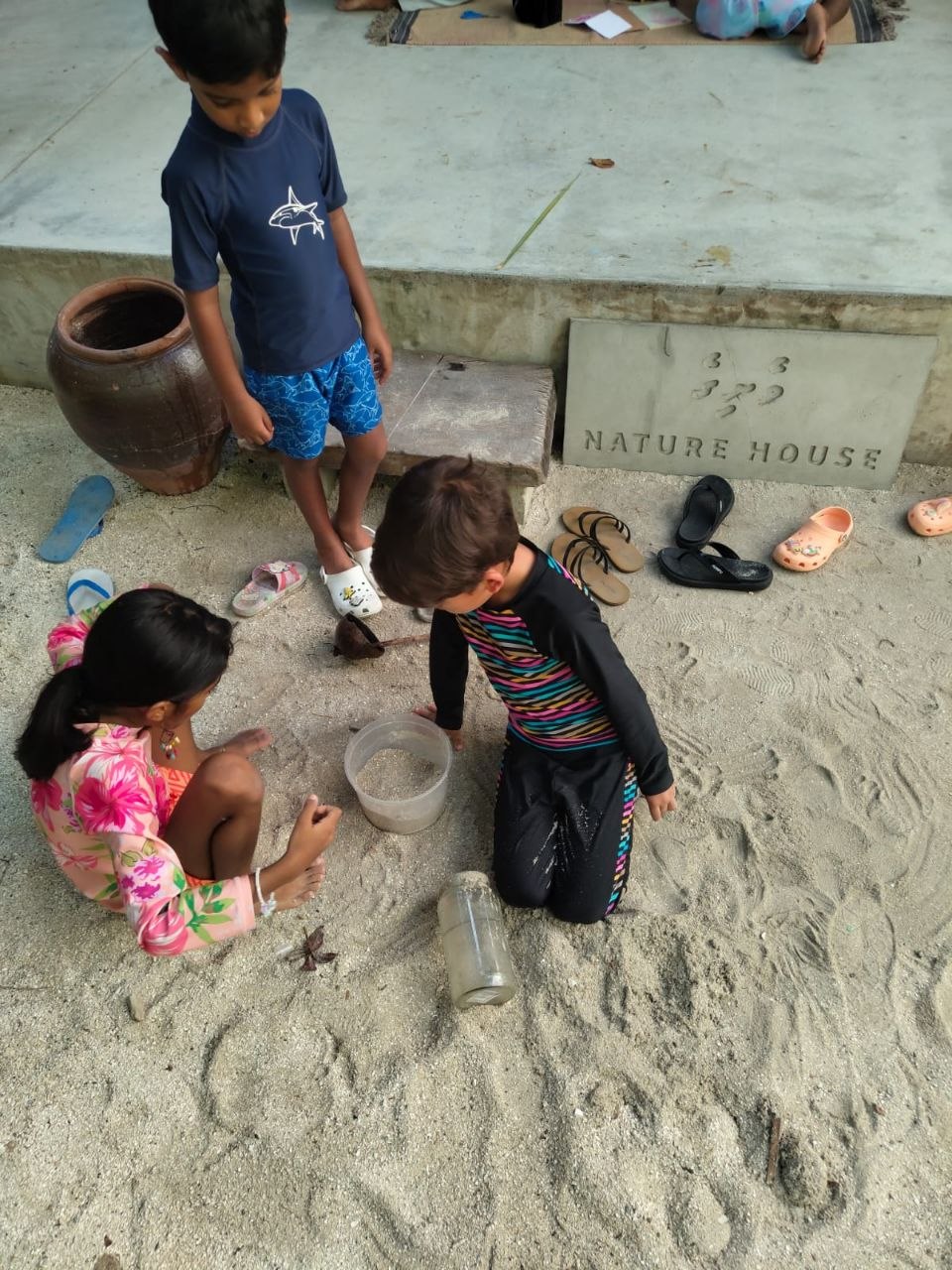 Weather MoodhuFilaa Nature School Maldives moments
