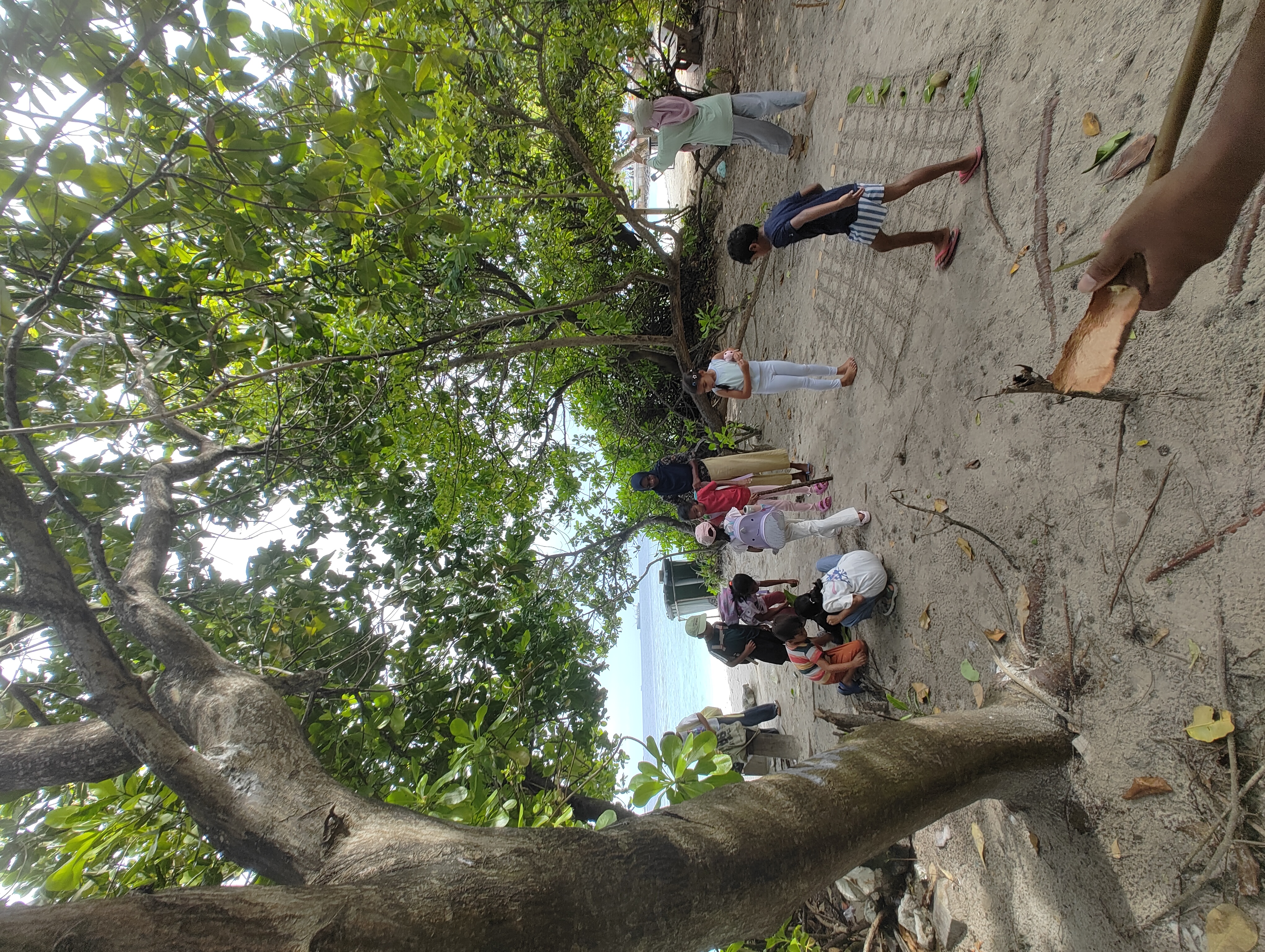 Weather MoodhuFilaa Nature School Maldives moments