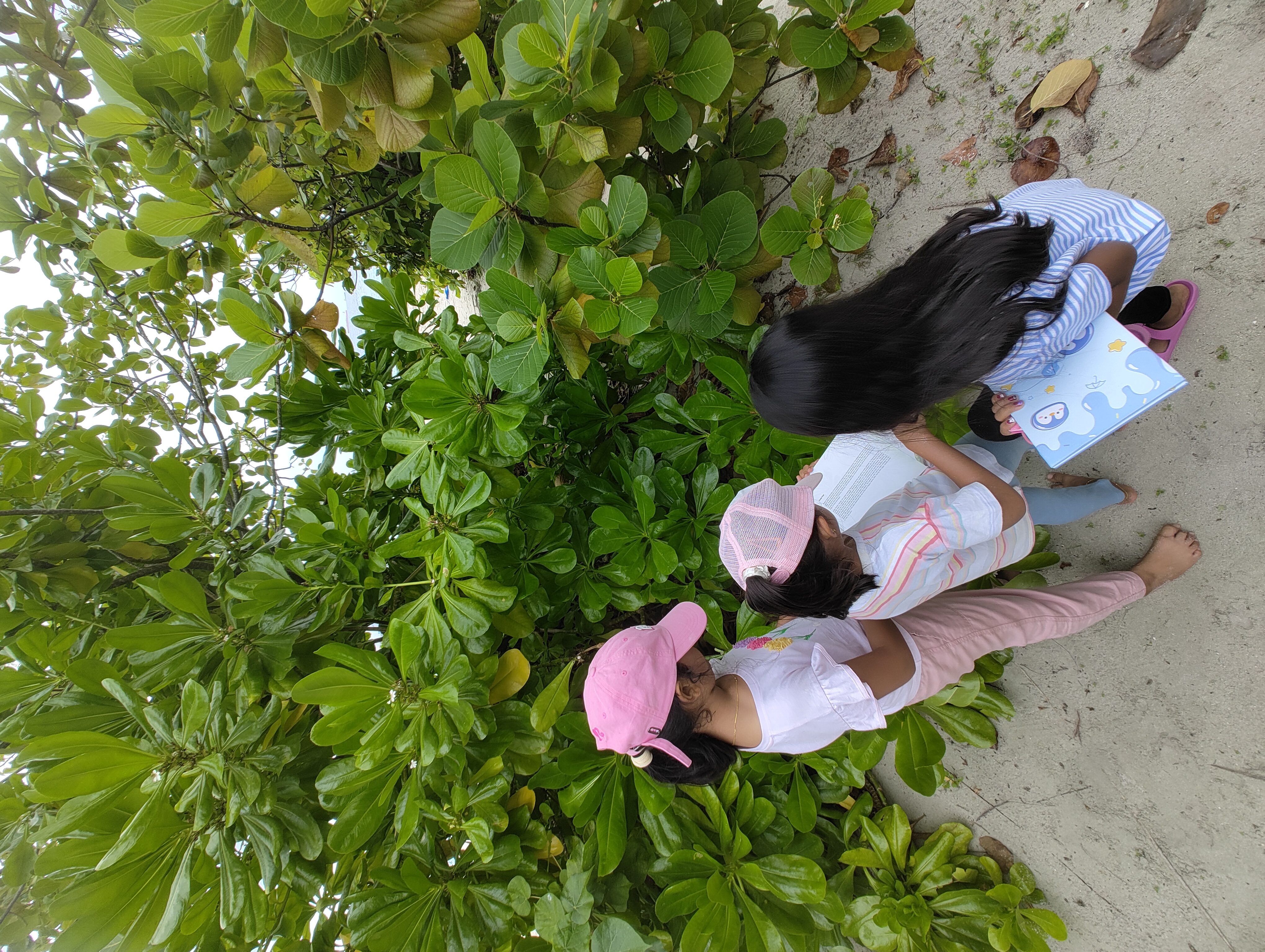 Weather MoodhuFilaa Nature School Maldives moments