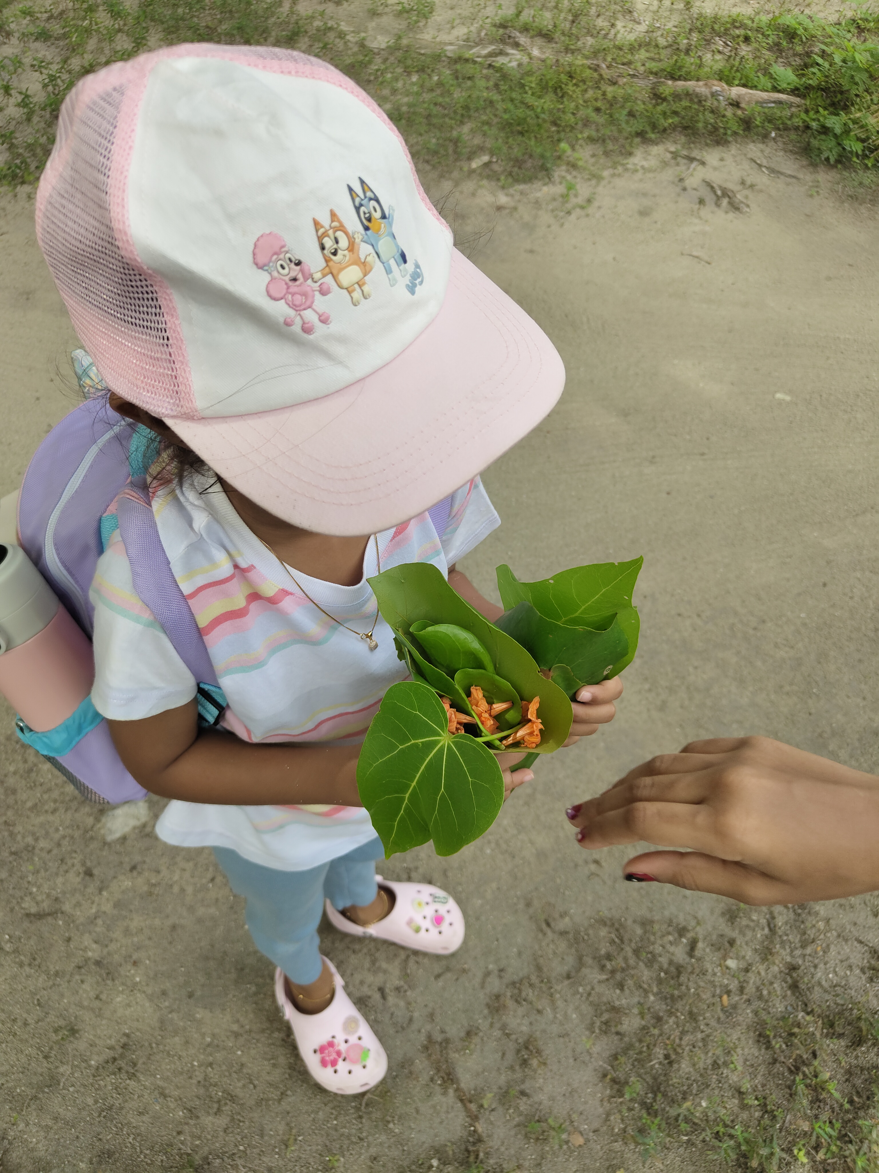 Weather MoodhuFilaa Nature School Maldives moments