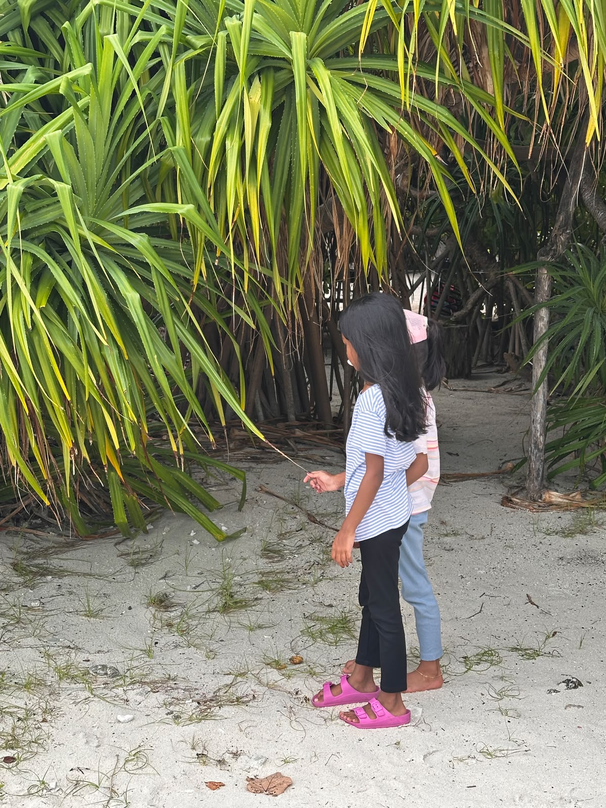 Weather MoodhuFilaa Nature School Maldives moments