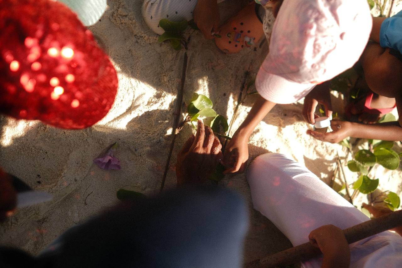 Weather MoodhuFilaa Nature School Maldives moments
