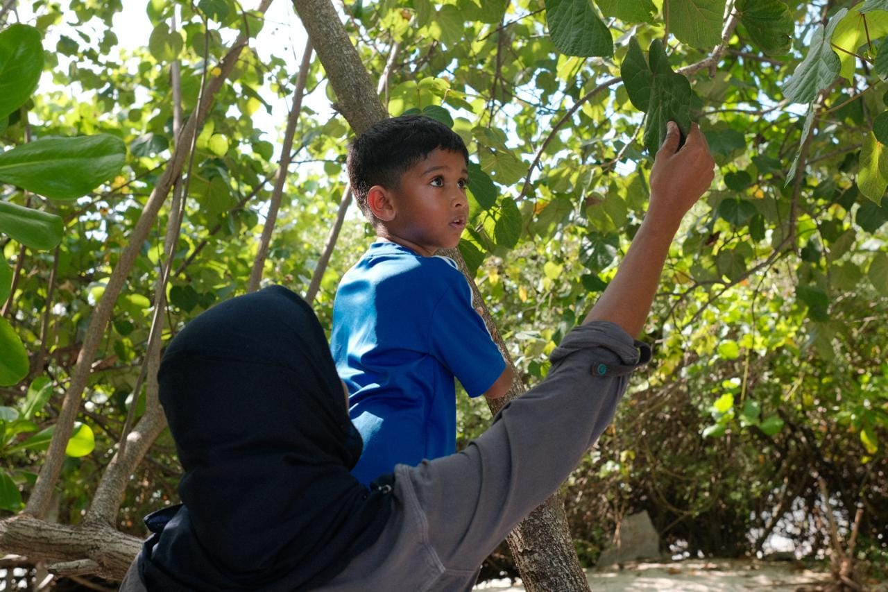 Weather MoodhuFilaa Nature School Maldives moments
