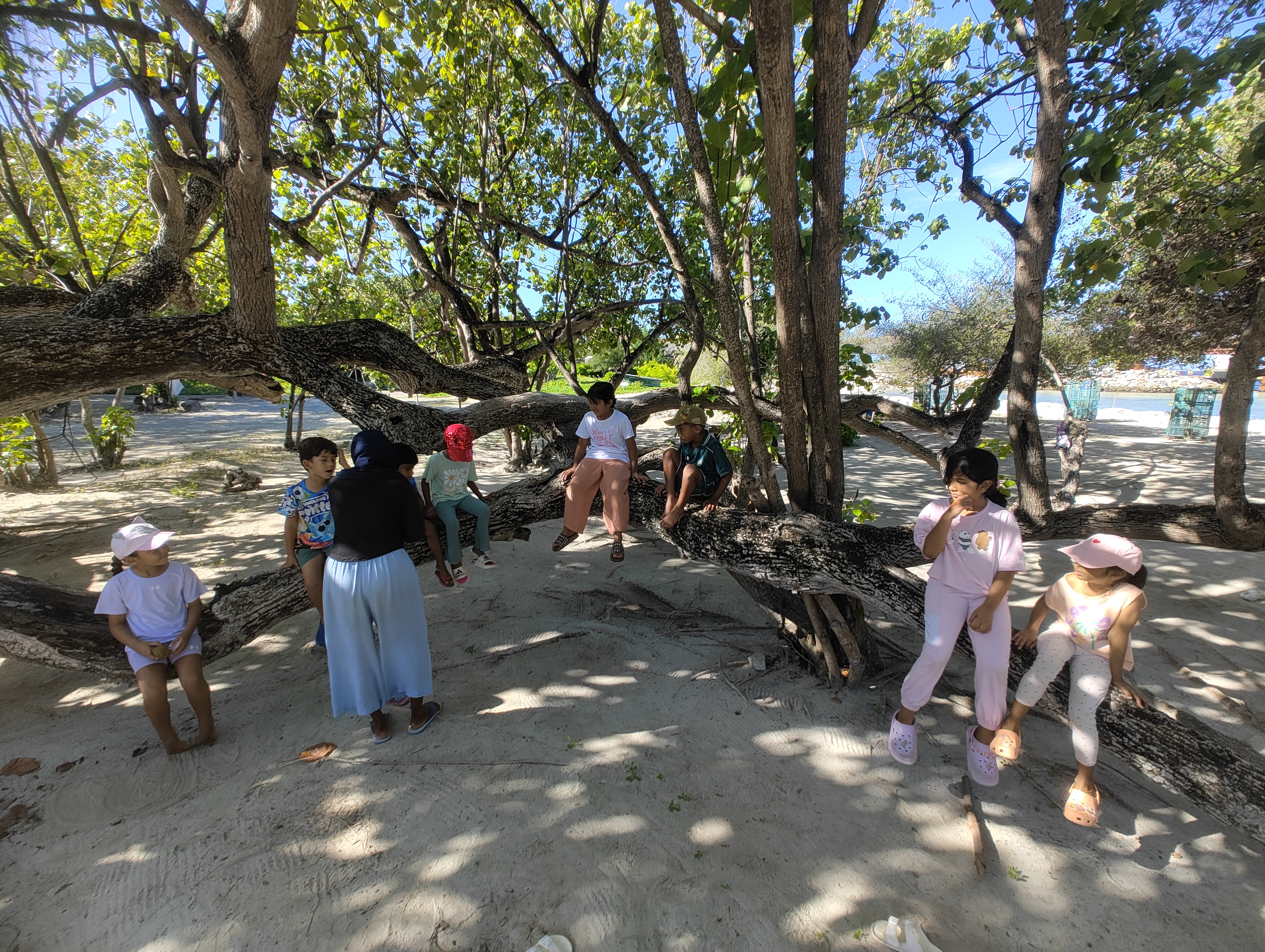 Weather MoodhuFilaa Nature School Maldives moments