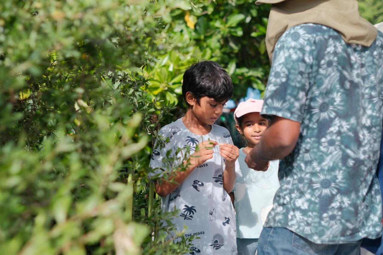 Weather MoodhuFilaa Nature School Maldives moments