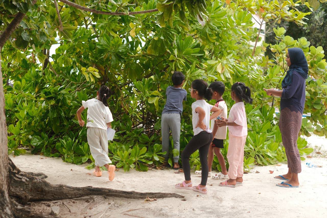 Weather MoodhuFilaa Nature School Maldives moments