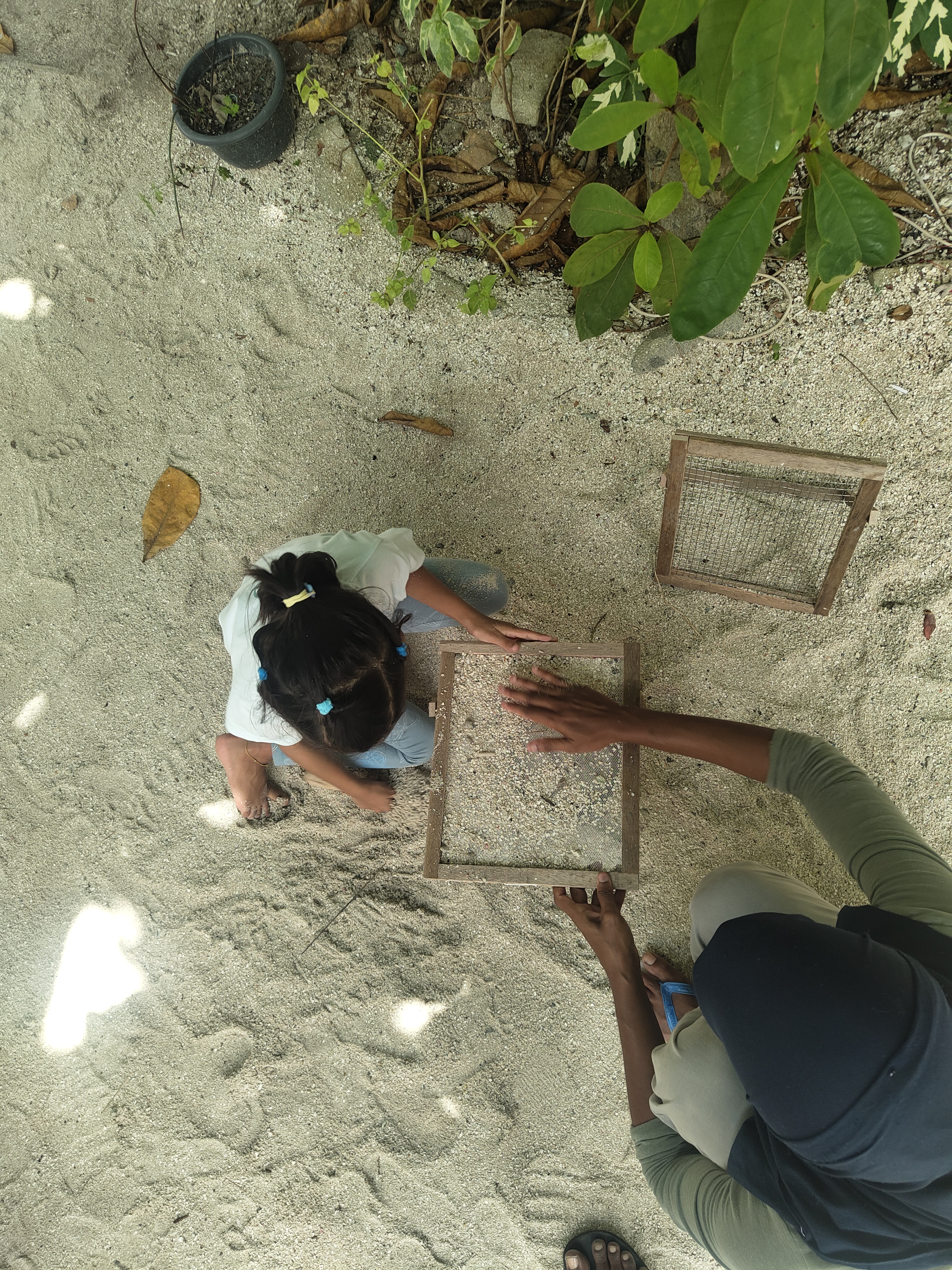 Weather MoodhuFilaa Nature School Maldives moments