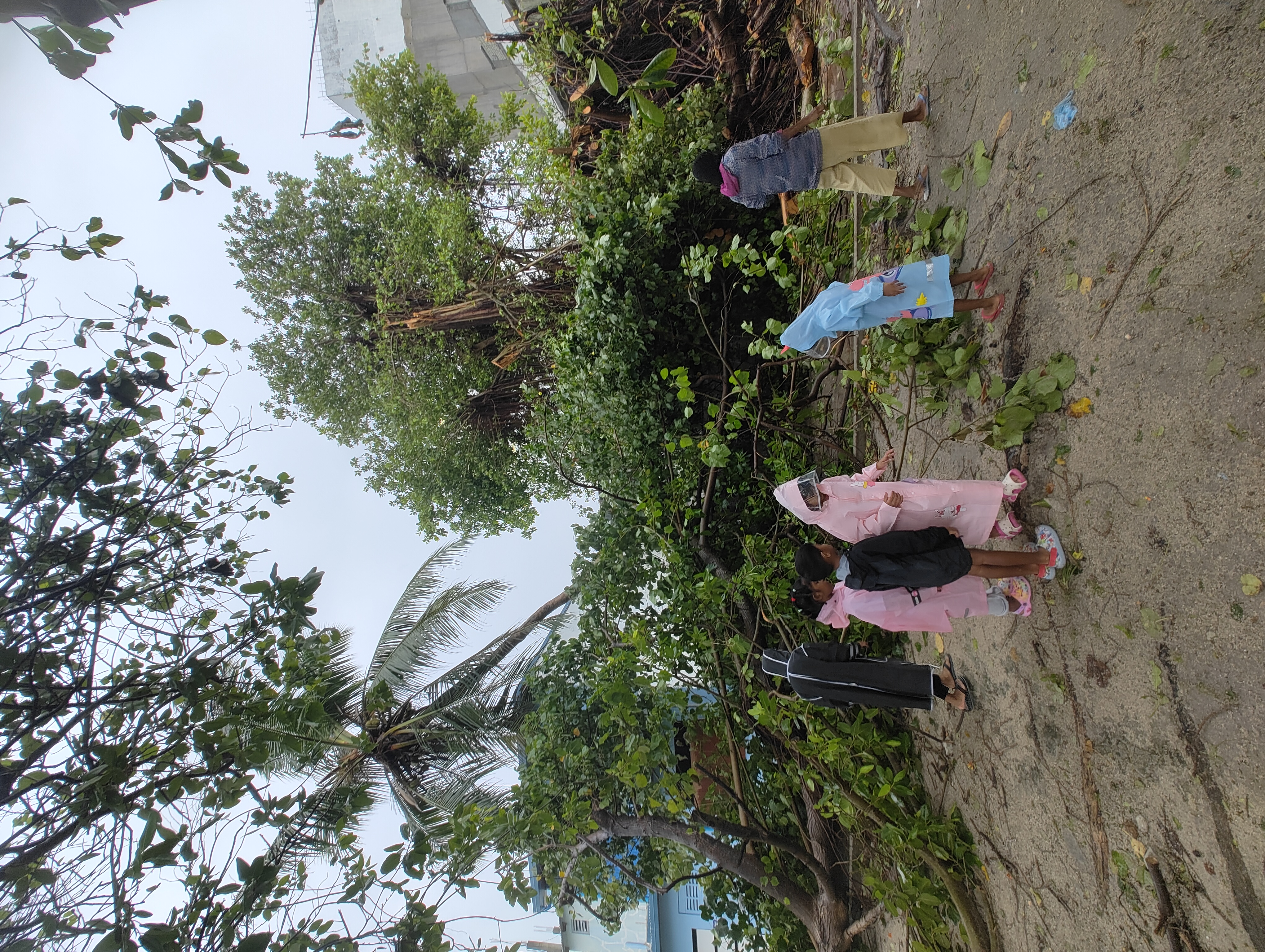 Weather MoodhuFilaa Nature School Maldives moments