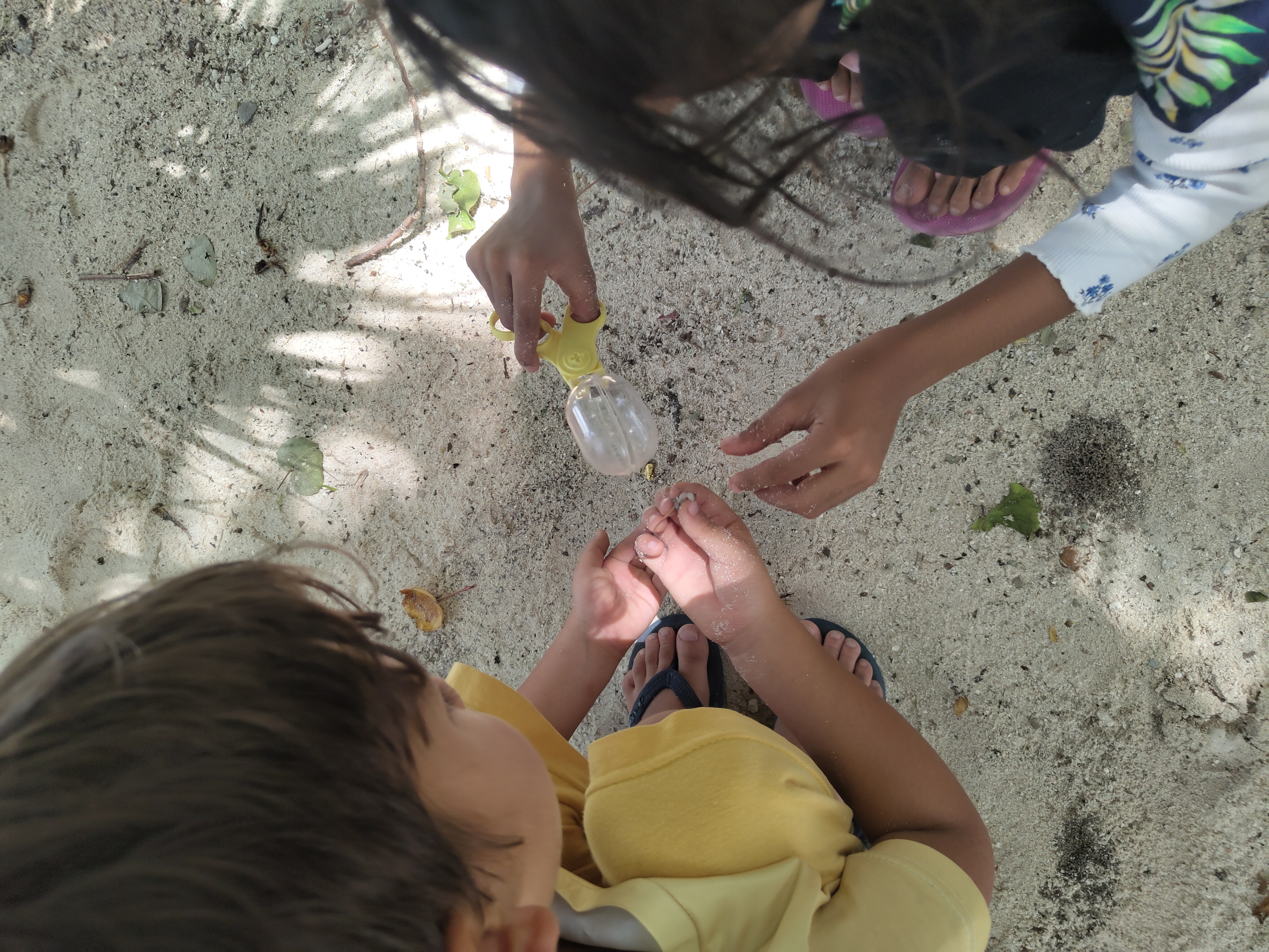 Weather MoodhuFilaa Nature School Maldives moments