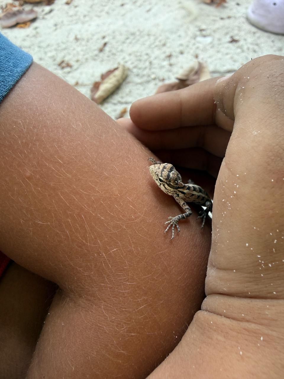 Weather MoodhuFilaa Nature School Maldives moments