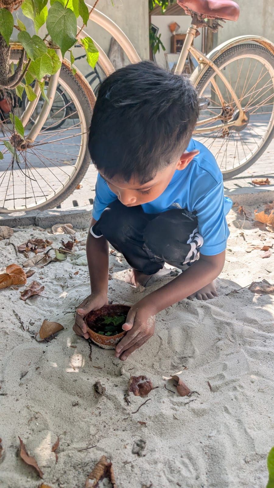Weather MoodhuFilaa Nature School Maldives moments