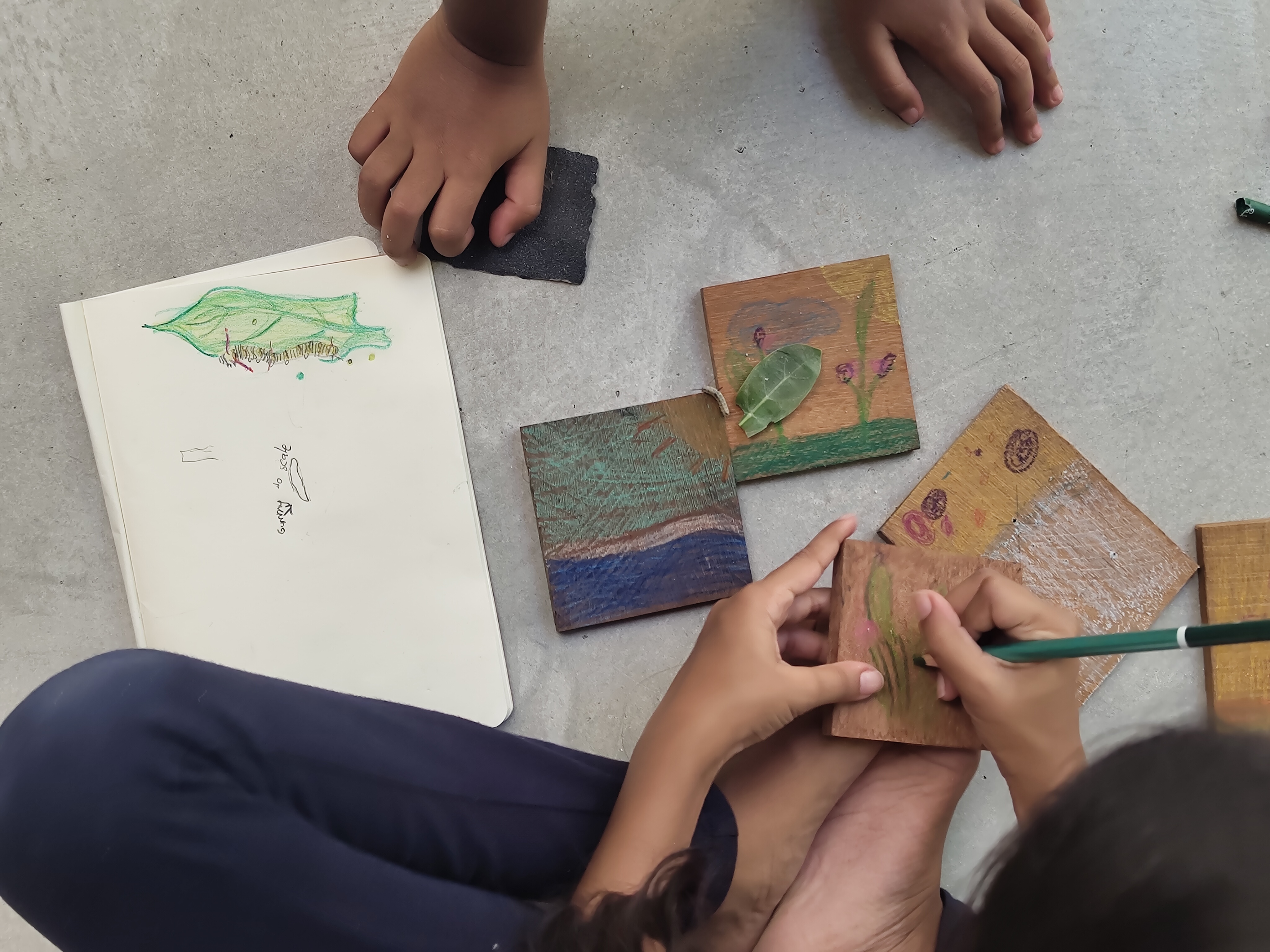 Weather MoodhuFilaa Nature School Maldives moments