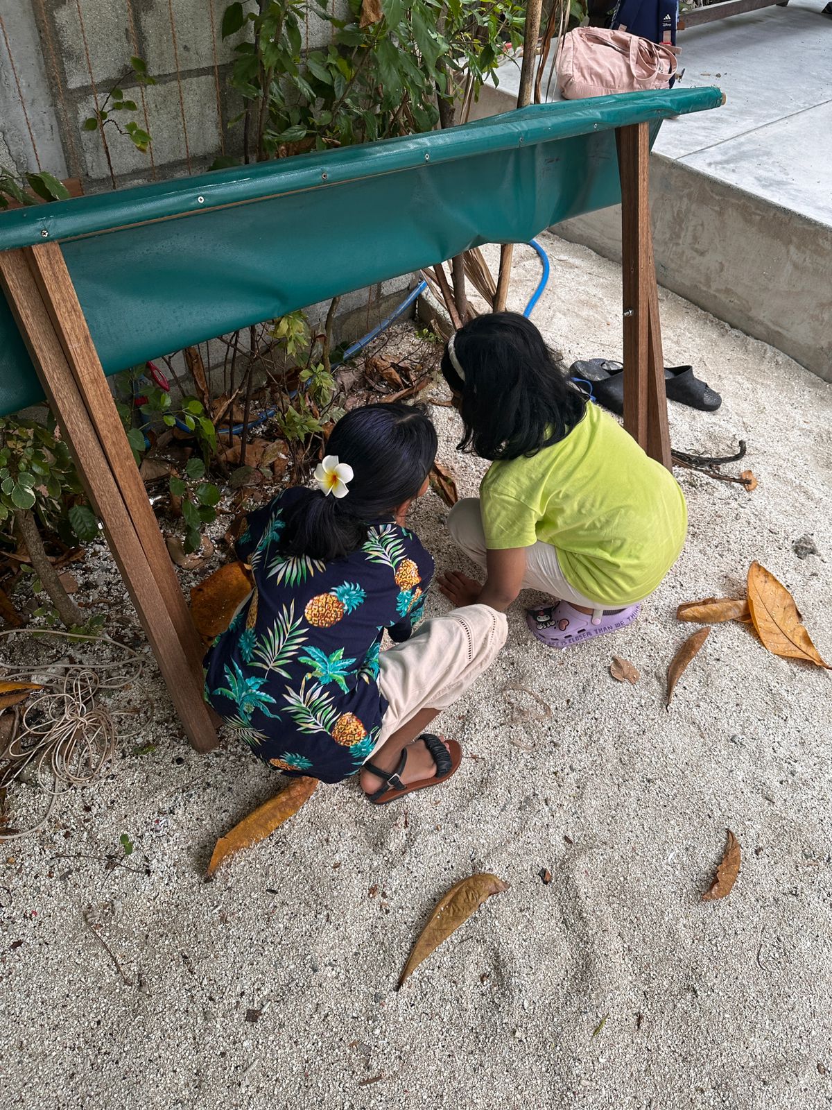 Weather MoodhuFilaa Nature School Maldives moments