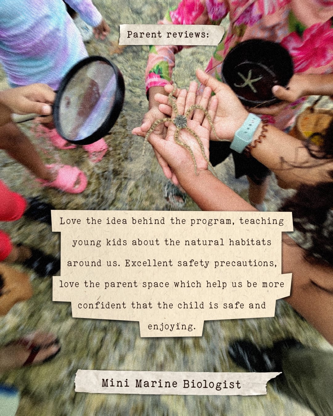 Reviews testimonials Nature School Maldives